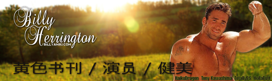 Chinese Web Site